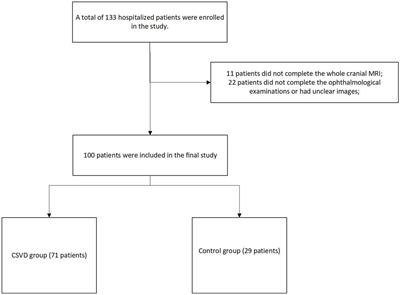 Retinal structure and vessel density changes in cerebral small vessel disease